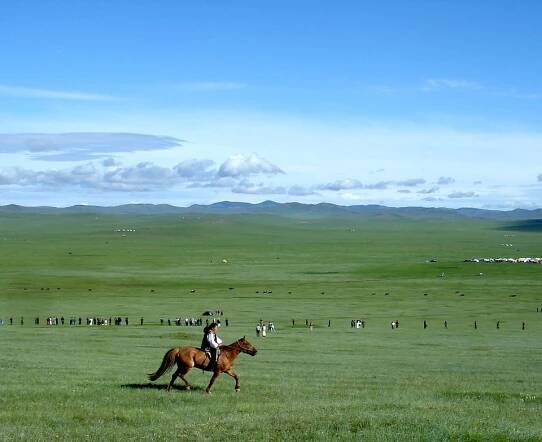Soubor:Horse race in mongolian steppes.jpg – Wikipedie