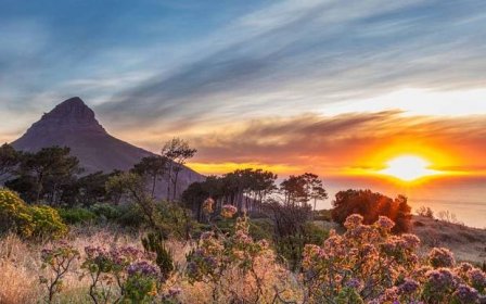 South Africa's Wines Routes