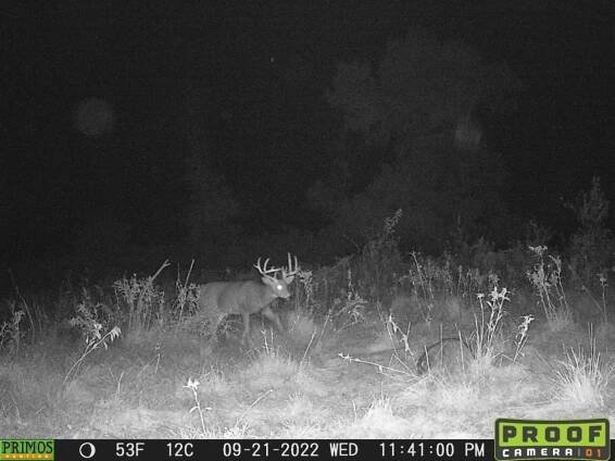 Game Camera - Snake River Connection