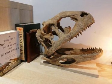 IMG_20210703_204826.jpg Majungasaurus skull 3D Print - dinosaur