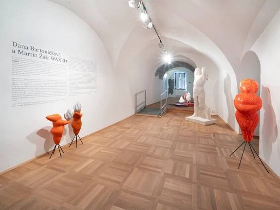 Dana Bartoníčková a Martin Žák: WAXED | Výstavy | GOČÁROVA GALERIE