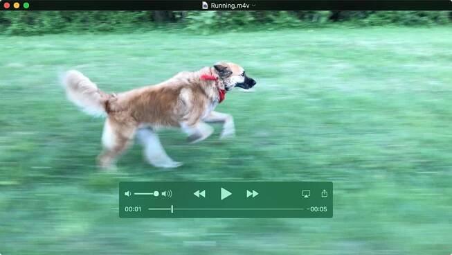 Okno QuickTime Playeru s přehrávaným filmem, v němž jsou vidět ovládací prvky pro přehrávání