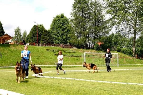 Archiv – Kynologický klub Varnsdorf