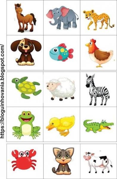 an image of different animals and their names