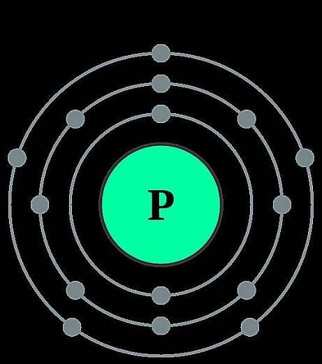 This diagram shows the electron shell configuration of a phosphorus atom.