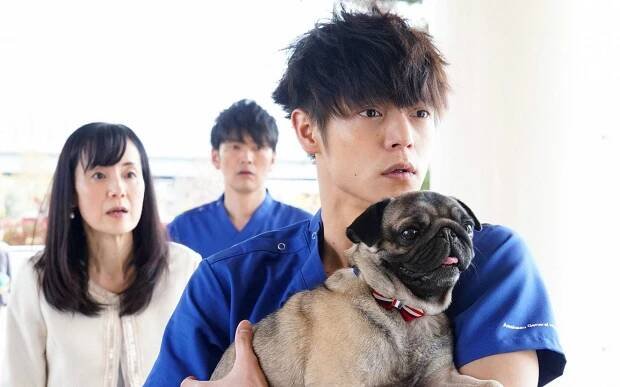 Radiation house - Z filmu - Masataka Kubota
