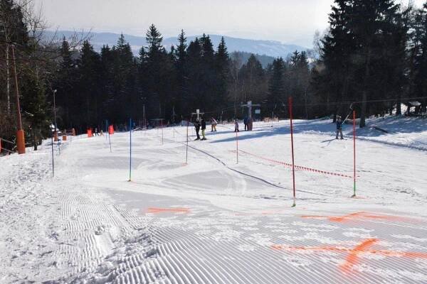 KARNEVAL NA SNĚHU 2025 – SKI AREÁL ALŠOVKA