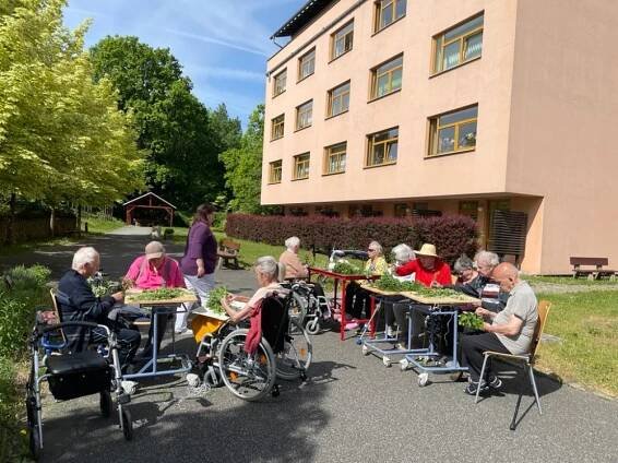 Sklizeň bylinek - Dům seniorů Františkov, Liberec, příspěvková organizace