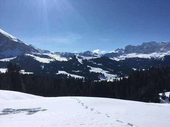 Easy backcountry tour on the Seiser Alm with local mountain guide