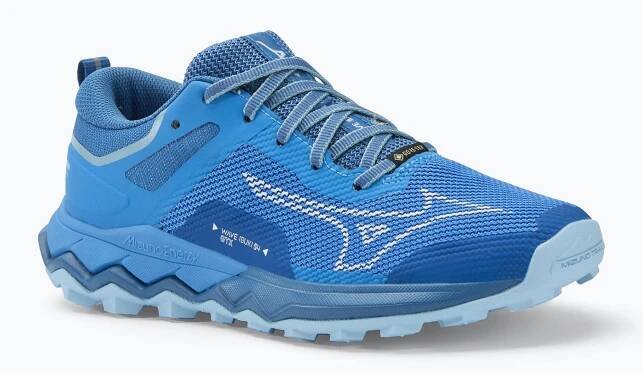 Dámské běžecké boty Mizuno Wave Ibuki 4 GTX marina/ white/ federal blue