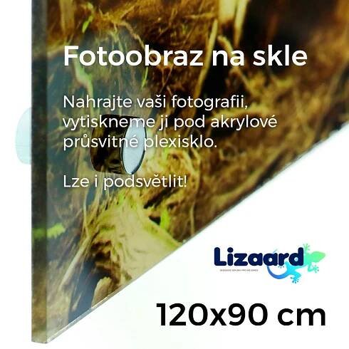 Fotoobraz na akrylátové sklo 30x30 cm | Lizaard.cz