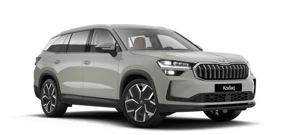 Kodiaq šedá Steel