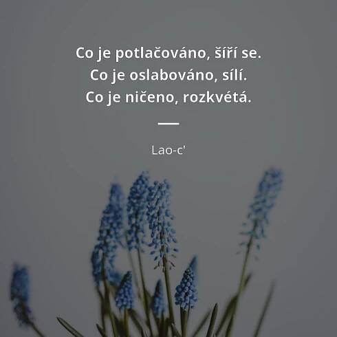 Lao-c' citát: „Co je potlačováno, šíří se. Co je oslabováno, sílí. Co je ničeno, rozkvétá.“