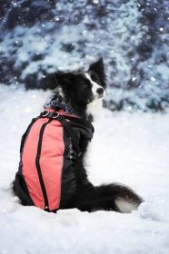Mansi zimní bunda pro psa s postrojem - Vsepropejska.cz