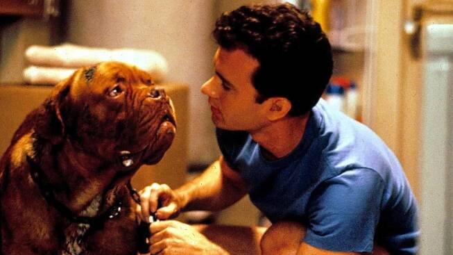 Turner a Hooch