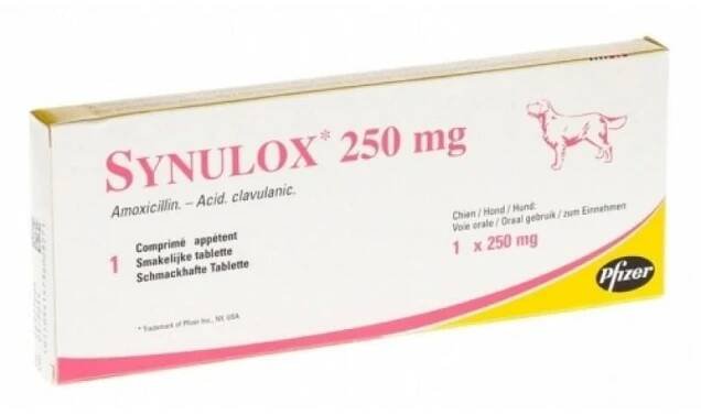 Synulox 250 mg Amoxicillin