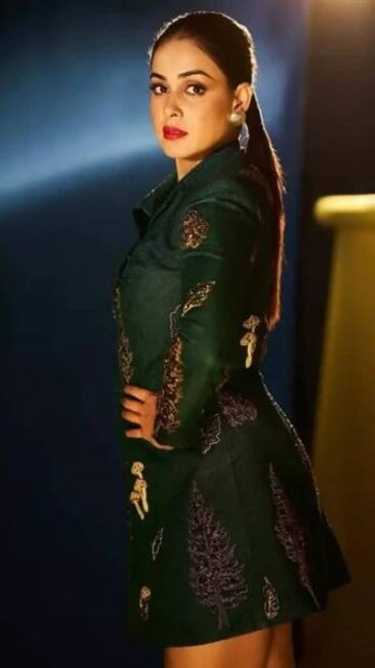 Genelia D'souza's impressive western looks