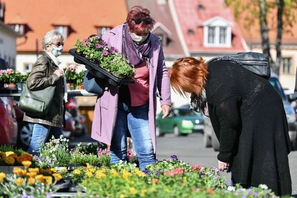 FOTO: Jsou zpět. Farmářské trhy znovu zaplnily náměstí v České Lípě