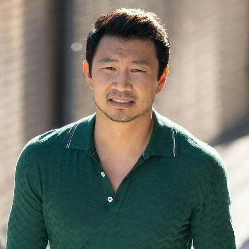 Simu Liu’s Long Sleeve Knit Polo Is The Shirt For The Season