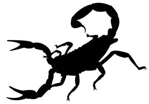 Black scorpion icon with venom and invertebrate,Scorpion silhouette isolated. — Stock obrázek
