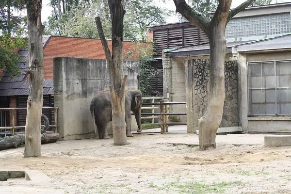 ZOO Liberec - otevírací doba, vstupné, ubytování, zvířata, ceník, akce