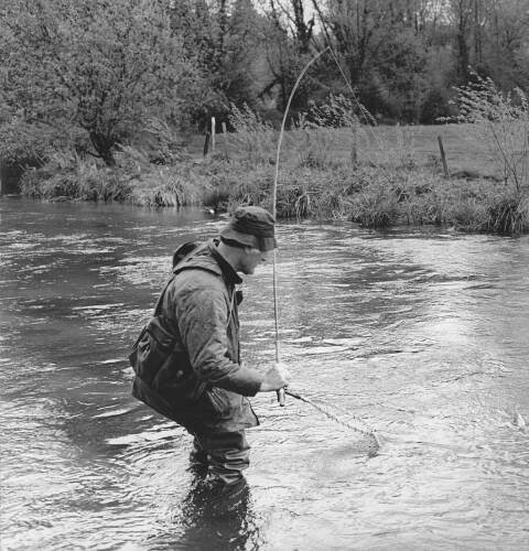 OWNED BY EVERYONE | The wonder, plight and future of our rivers and the lives they support 
