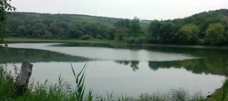 Rybaření Dolní – Dyje 5A - Fishsurfing