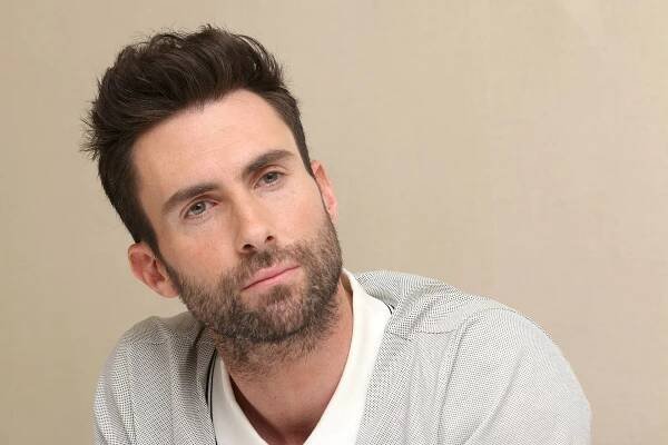 Adam Levine (Adam Levin): Biografie umělce