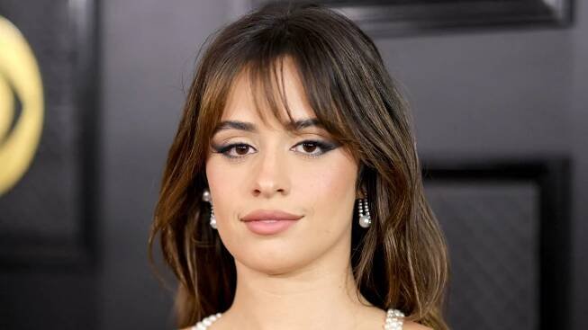 Camila Cabello's Updo Has More Tendrils in the Back Than It Does in the Front — See Photos