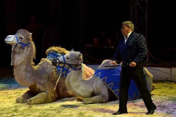 Cirkus Humberto potěšil v Hodoníně i děti z Dětského domova