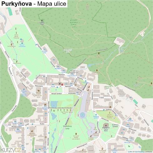 Purkyňova - mapy | Kurzy.cz
