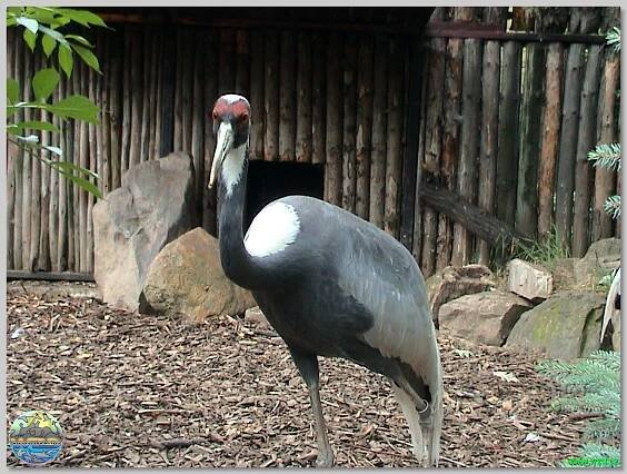 Zoopark Chomutov