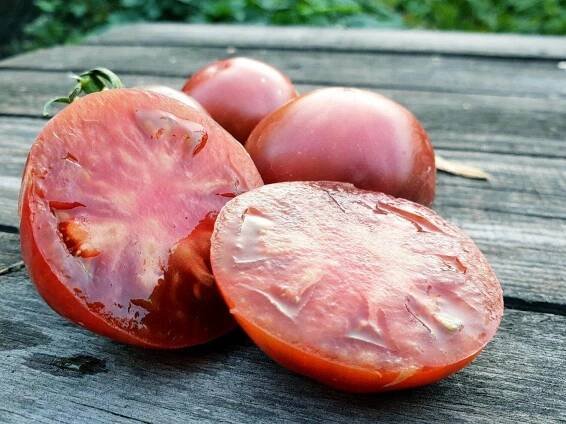 Rajče Ligurie: popis odrůdy, recenze, fotografie