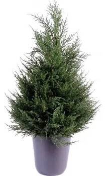 CYPŘIŠ JUNIPERUS STROM, 65cm (Luxusní umělý strom)