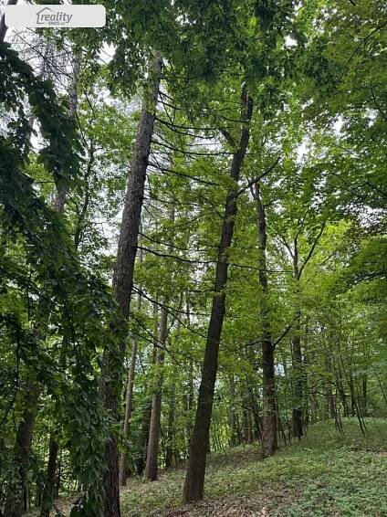 Prodej Pozemek, Heřmanice, okres Havlíčkův Brod