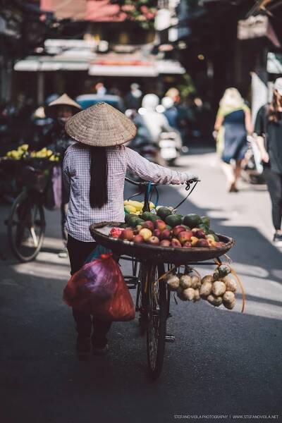 Vietnam Photogallery | Stefano Viola | Photography