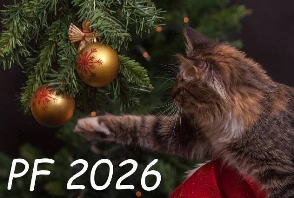 Klikněte pro zobrazení původního (velkého) obrázku
==============
PF 2026 - novoroční přání kočka u stromku
PF 2026 novoroční přání vánoční obrázky - zdarma ke stažení a k vytisknutí na výšku jako firemní novoročenku ve formátu 17 x 11,5 cm nebo poslat jako on-line elektonickou pohlednici e-card. Rozlišení 1920px. 
Klíčová slova: PF 2026 zdarma,novoročenky