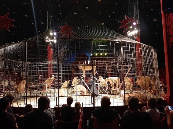 Pestrý program Cirkusu Humberto uchvátil děti z azylového Domova sv. Agáty