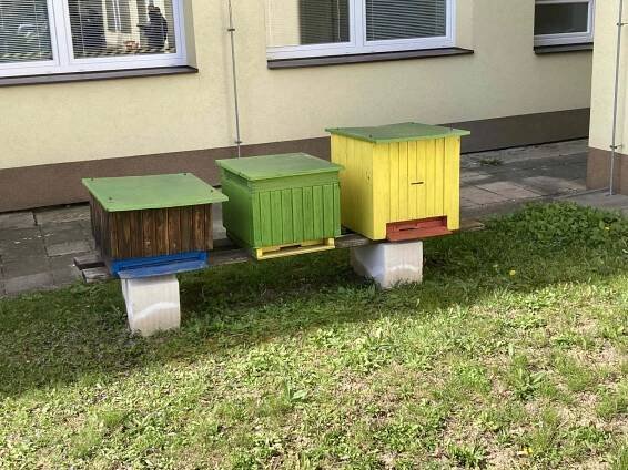 V Kloboukách u Brna byla pro soutěžící zážitkem projížďka koňským spřežením
