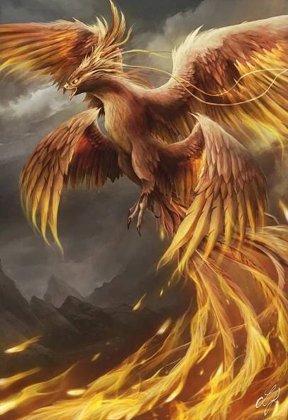 From the Ashes, Luke Fitzsimons on ArtStation at https://www.artstation.com/artwork/9eazxR | Phoenix art, Fantasy creatures art, Mythical creatures art
