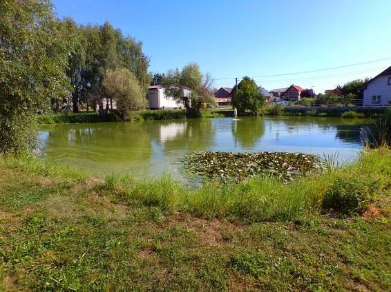 Obecní rybníček (Skalička, 4.8.2022)