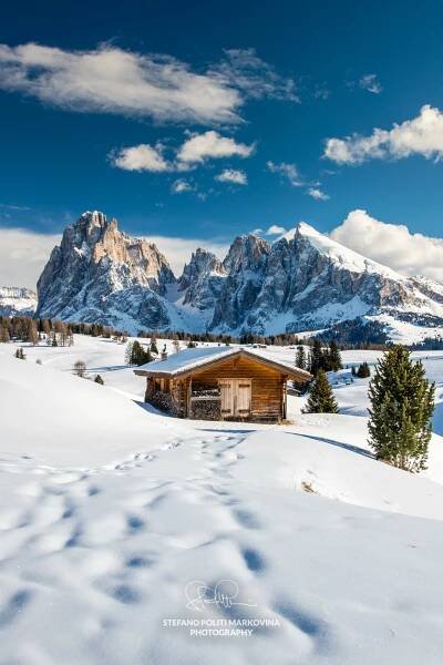 Scenic winter view of Seiser Alm or Alpe di Siusi with Sassolungo or Langkofel massif in the background, Dolomites, South Tyrol, Italy