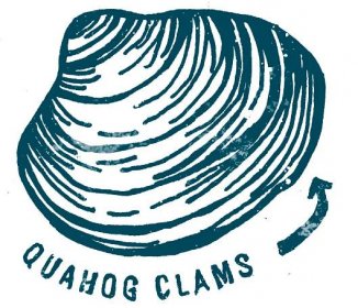 Illustration of a Quahog clam