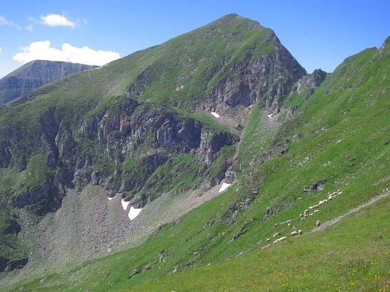 Faragas Mountains Gallery | Baxter Nature
