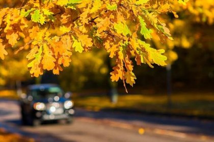 Podzimní nástrahy na silnicích, kterým mnoho řidičů vůbec nevěnuje pozornost – Autozine