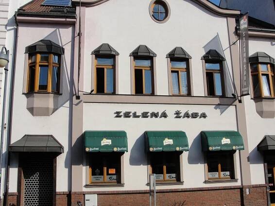 PENZION ZELENA ZABA - Prices & Pension Reviews (Pardubice, Czech Republic)