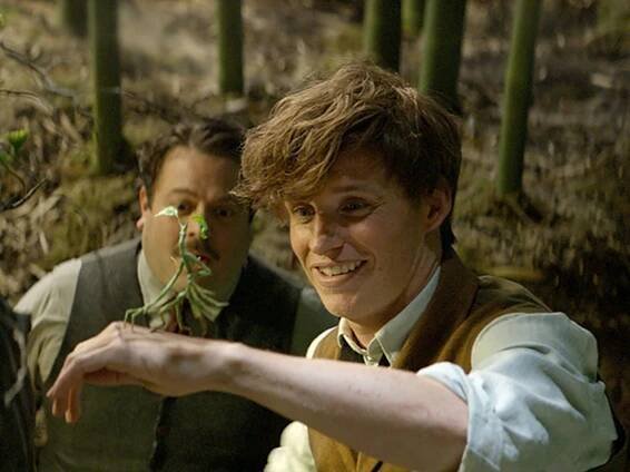 'Fantastic Beasts' was almost a mockumentary - Time Out