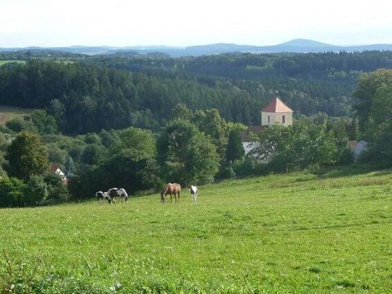 m ranch