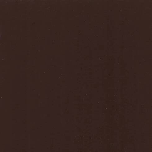 Cocoa Brown Paint Color