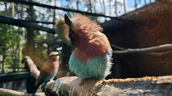 Na návštěvě Zoo Bojnice, nejstarší a nejnavštěvovanější zoologické zahrady na Slovensku – Ararauna.cz